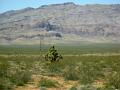 14-Valley of Fire 0002